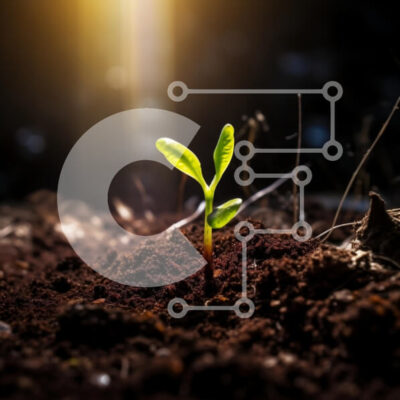 Intra Συλλεκτικό Ξύλινο Παζλ Plywood 4mm - Νέο φυτό που φυτρώνει από το έδαφος στο φως του ήλιου Σε Ξύλινο Κουτί - Διαστάσεις: 10x10 cm – 25 κομμάτια - Image 1