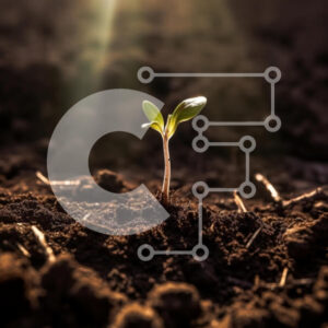 Intra Συλλεκτικό Ξύλινο Παζλ Plywood  4mm - Νέο σπορόφυτο που αναπτύσσεται στο έδαφος Σε Ξύλινο Κουτί - Διαστάσεις: 10x10 cm – 25 κομμάτια