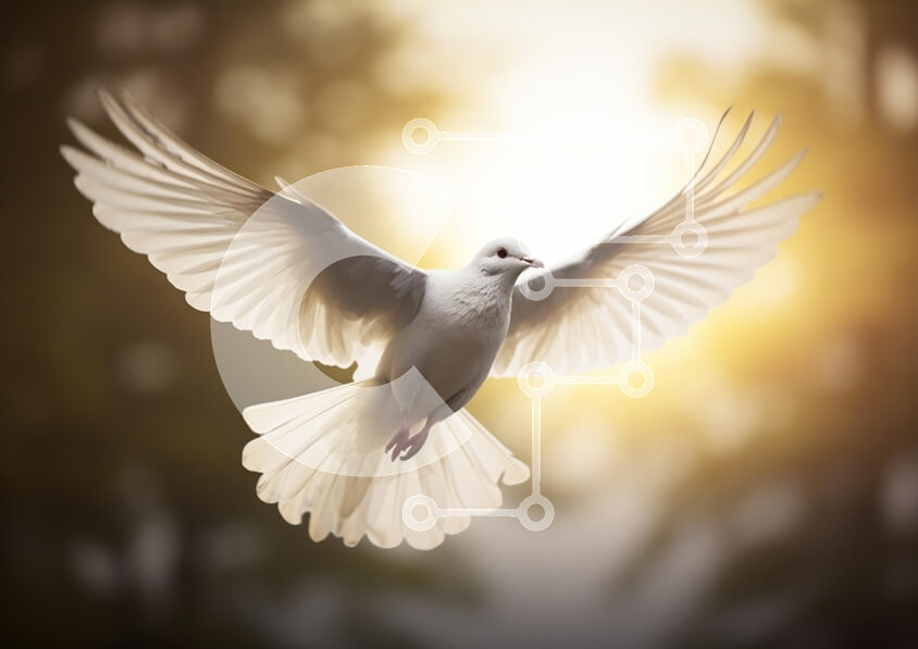 Intra Συλλεκτικό Ξύλινο Παζλ Plywood  4mm - Λευκό Περιστέρι σε πτήση Σε Ξύλινο Κουτί - Διαστάσεις: 10x10 cm – 25 κομμάτια