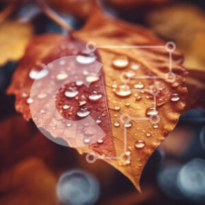 Intra Συλλεκτικό Ξύλινο Παζλ Plywood  4mm - Φθινοπωρινό φύλλο με σταγονίδια νερού Σε Ξύλινο Κουτί - Διαστάσεις: 10x10 cm – 25 κομμάτια