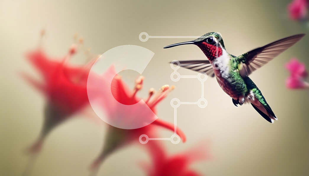 Intra Συλλεκτικό Ξύλινο Παζλ Plywood  4mm - Κολίμπρι που αιωρείται κοντά σε κόκκινα λουλούδια Σε Ξύλινο Κουτί - Διαστάσεις: 10x10 cm – 25 κομμάτια