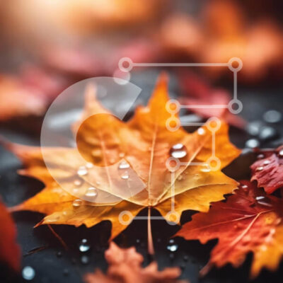 Intra Συλλεκτικό Ξύλινο Παζλ Plywood  4mm - Φθινοπωρινά φύλλα με σταγονίδια νερού Σε Ξύλινο Κουτί - Διαστάσεις: 10x10 cm – 25 κομμάτια - Image 1