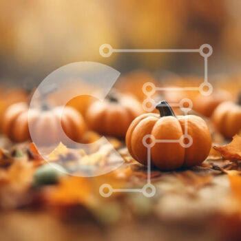 Intra Συλλεκτικό Ξύλινο Παζλ Plywood  4mm - Φθινοπωρινές κολοκύθες ανάμεσα στα φύλλα Σε Ξύλινο Κουτί - Διαστάσεις Puzzle: 10x10 cm – 25 κομμάτια - Image 1