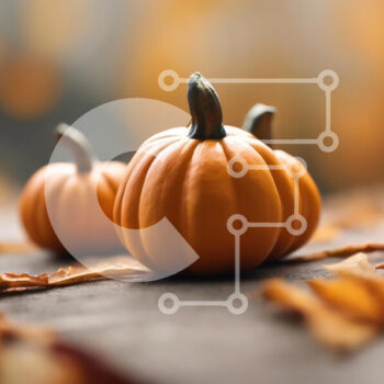 Intra Συλλεκτικό Ξύλινο Παζλ Plywood  4mm - Φθινοπωρινές κολοκύθες σε ξύλινη επιφάνεια Σε Ξύλινο Κουτί - Διαστάσεις Puzzle: 10x10 cm – 25 κομμάτια - Image 1