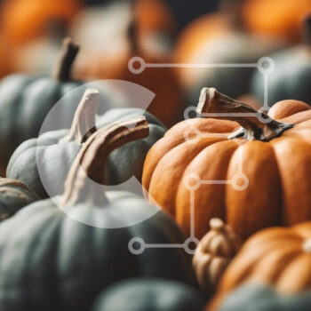 Intra Συλλεκτικό Ξύλινο Παζλ Plywood  4mm - Συλλογή από κολοκύθες σε φθινοπωρινά χρώματα Σε Ξύλινο Κουτί - Διαστάσεις Puzzle: 10x10 cm – 25 κομμάτια - Image 1