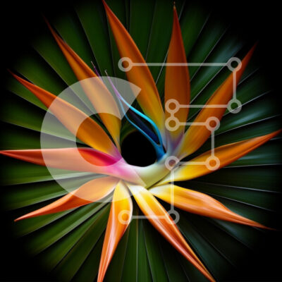 Intra Συλλεκτικό Ξύλινο Παζλ Plywood  4mm - Ζωντανό λουλούδι Bird of Paradise ενάντια στα πράσινα φύλλα Σε Ξύλινο Κουτί - Διαστάσεις: 10x10 cm – 25 κομμάτια - Image 1