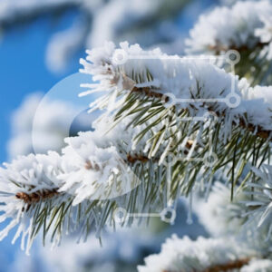 Intra Συλλεκτικό Ξύλινο Παζλ Plywood  4mm - Χιονισμένο κλαδί πεύκου στο γαλάζιο του ουρανού Σε Ξύλινο Κουτί - Διαστάσεις: 10x10 cm – 25 κομμάτια