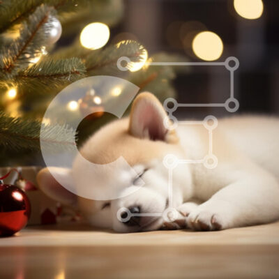 Intra Συλλεκτικό Ξύλινο Παζλ Plywood 4mm - Κουτάβι που κοιμάται κάτω από το χριστουγεννιάτικο δέντρο Σε Ξύλινο Κουτί - Διαστάσεις: 10x10 cm – 25 κομμάτια - Image 1