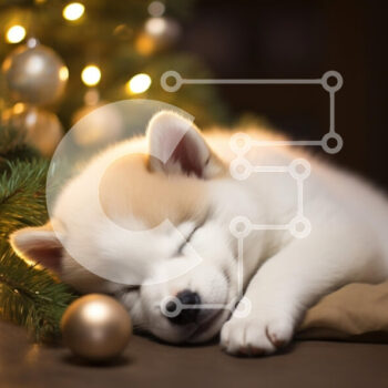 Intra Συλλεκτικό Ξύλινο Παζλ Plywood 4mm - Sleeping Puppy δίπλα στο χριστουγεννιάτικο δέντρο Σε Ξύλινο Κουτί - Διαστάσεις: 10x10 cm – 25 κομμάτια - Image 1