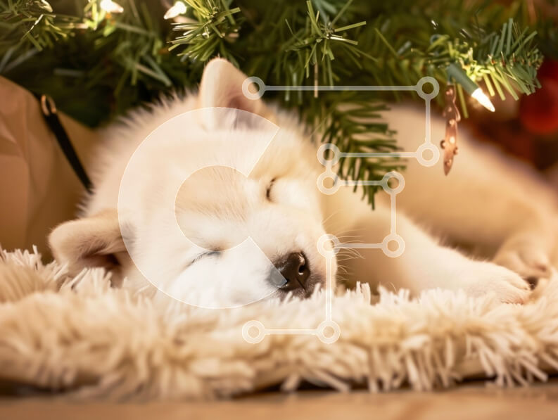 Intra Συλλεκτικό Ξύλινο Παζλ Plywood  4mm - Κουτάβι που κοιμάται κάτω από το χριστουγεννιάτικο δέντρο Σε Ξύλινο Κουτί - Διαστάσεις: 10x10 cm – 25 κομμάτια