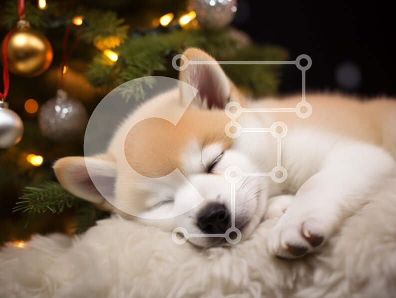 Intra Συλλεκτικό Ξύλινο Παζλ Plywood  4mm - Κοιμώμενο κουτάβι Akita κοντά σε ένα χριστουγεννιάτικο δέντρο Σε Ξύλινο Κουτί - Διαστάσεις: 10x10 cm – 25 κομμάτια