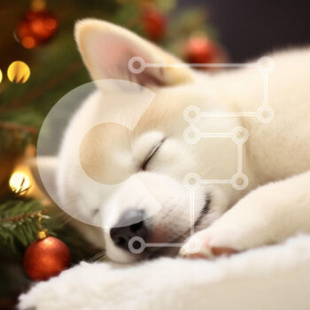 Intra Συλλεκτικό Ξύλινο Παζλ Plywood 4mm - Sleeping Puppy δίπλα στο χριστουγεννιάτικο δέντρο Σε Ξύλινο Κουτί - Διαστάσεις: 10x10 cm – 25 κομμάτια - Image 1