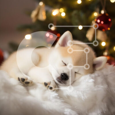 Intra Συλλεκτικό Ξύλινο Παζλ Plywood  4mm - Sleeping Puppy δίπλα στο χριστουγεννιάτικο δέντρο Σε Ξύλινο Κουτί - Διαστάσεις: 10x10 cm – 25 κομμάτια - Image 1