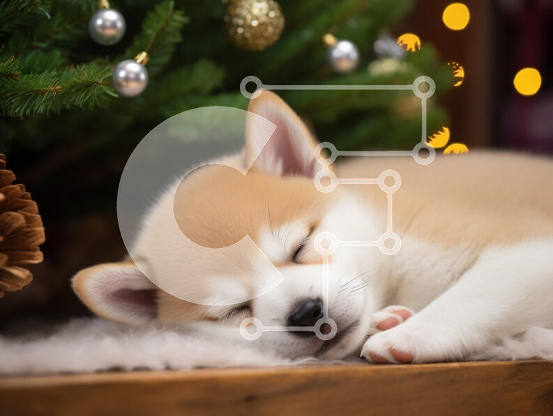 Intra Συλλεκτικό Ξύλινο Παζλ Plywood  4mm - Κουτάβι που κοιμάται κάτω από το χριστουγεννιάτικο δέντρο Σε Ξύλινο Κουτί - Διαστάσεις: 10x10 cm – 25 κομμάτια