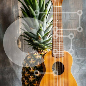 Intra Συλλεκτικό Ξύλινο Παζλ Plywood  4mm - Γιουκαλίλι και ανανάς σε ξύλινη επιφάνεια Σε Ξύλινο Κουτί - Διαστάσεις: 10x10 cm – 25 κομμάτια