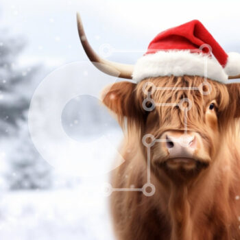 Intra Συλλεκτικό Ξύλινο Παζλ Plywood  4mm - Αγελάδα Highland με καπέλο Santa σε ένα χιονισμένο τοπίο Σε Ξύλινο Κουτί - Διαστάσεις: 10x10 cm – 25 κομμάτια - Image 1