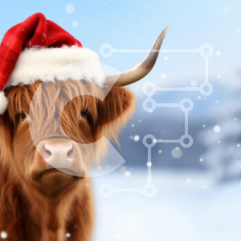 Intra Συλλεκτικό Ξύλινο Παζλ Plywood  4mm - Αγελάδα Highland με καπέλο Santa Σε Ξύλινο Κουτί - Διαστάσεις: 10x10 cm – 25 κομμάτια - Image 1