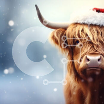 Intra Συλλεκτικό Ξύλινο Παζλ Plywood  4mm - Αγελάδα Highland με καπέλο Santa κατά τη διάρκεια του χειμώνα Σε Ξύλινο Κουτί - Διαστάσεις: 10x10 cm – 25 κομμάτια - Image 1