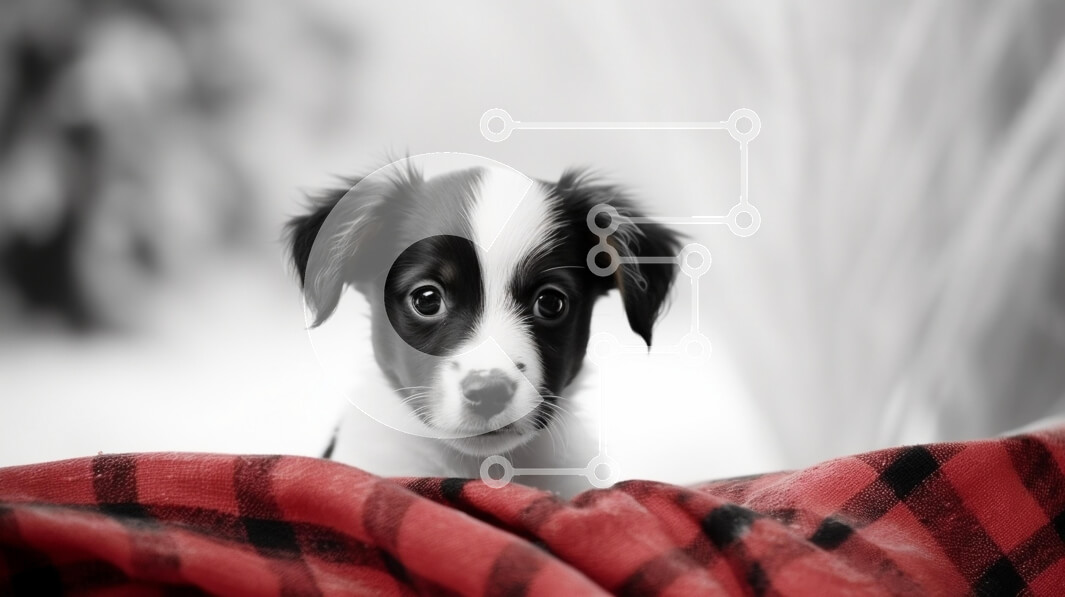 Intra Συλλεκτικό Ξύλινο Παζλ Plywood  4mm - Περίεργο κουτάβι σε καρό κουβέρτα Σε Ξύλινο Κουτί - Διαστάσεις: 10x10 cm – 25 κομμάτια