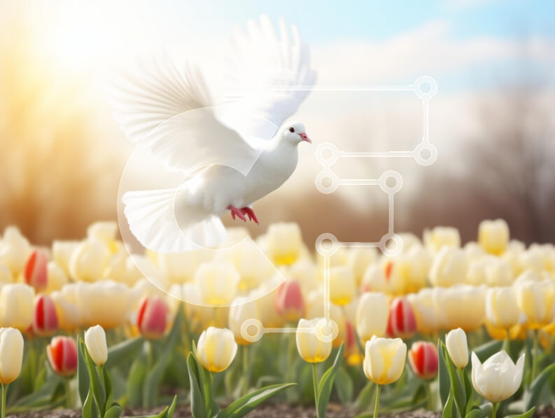 Intra Συλλεκτικό Ξύλινο Παζλ Plywood  4mm - Περιστέρι που πετά πάνω από έναν κήπο τουλίπας την άνοιξη Σε Ξύλινο Κουτί - Διαστάσεις: 10x10 cm – 25 κομμάτια