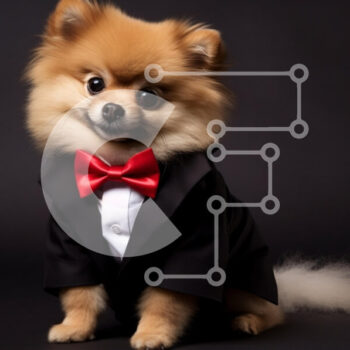 Intra Συλλεκτικό Ξύλινο Παζλ Plywood  4mm - Dapper Pomeranian Dog με σμόκιν Σε Ξύλινο Κουτί - Διαστάσεις: 10x10 cm – 25 κομμάτια - Image 1
