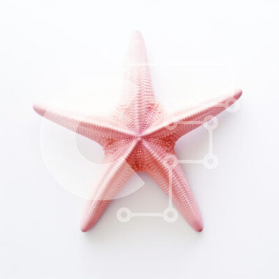 Intra Συλλεκτικό Ξύλινο Παζλ Plywood  4mm - Ροζ αστερίας σε άσπρο φόντο Σε Ξύλινο Κουτί - Διαστάσεις: 10x10 cm – 25 κομμάτια - Image 1