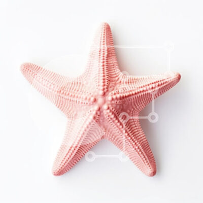 Intra Συλλεκτικό Ξύλινο Παζλ Plywood  4mm - Ροζ αστερίας σε άσπρο φόντο Σε Ξύλινο Κουτί - Διαστάσεις: 10x10 cm – 25 κομμάτια - Image 1