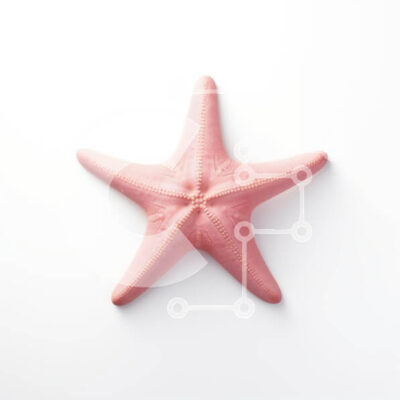 Intra Συλλεκτικό Ξύλινο Παζλ Plywood 4mm - Ροζ αστερίας σε άσπρο φόντο Σε Ξύλινο Κουτί - Διαστάσεις: 10x10 cm – 25 κομμάτια - Image 1