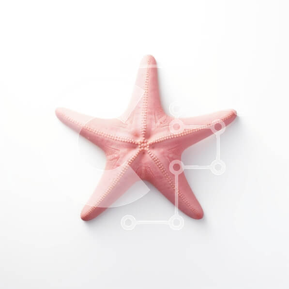 2rFTTQ8G6xbsaBaiiIWdUJF4jGl-desktop