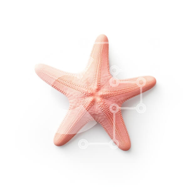 2rFTaKLkDFWyiRsKAp4VcyxfYLC-desktop