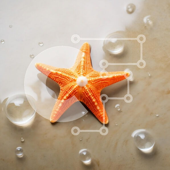 2rFTcHJuugdYU2upcaYWE88rurM-desktop