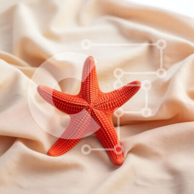 Intra Συλλεκτικό Ξύλινο Παζλ Plywood  4mm - Ζωντανός κόκκινος αστερίας σε κρεμ ύφασμα Σε Ξύλινο Κουτί - Διαστάσεις: 10x10 cm – 25 κομμάτια - Image 1