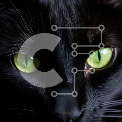 Intra Συλλεκτικό Ξύλινο Παζλ Plywood  4mm - Κοντινό πλάνο μιας μαύρης γάτας με πράσινα μάτια Σε Ξύλινο Κουτί - Διαστάσεις: 10x10 cm – 25 κομμάτια - Image 1