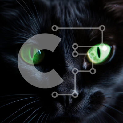 Intra Συλλεκτικό Ξύλινο Παζλ Plywood  4mm - Κοντινό πλάνο μιας μαύρης γάτας με πράσινα μάτια Σε Ξύλινο Κουτί - Διαστάσεις: 10x10 cm – 25 κομμάτια - Image 1