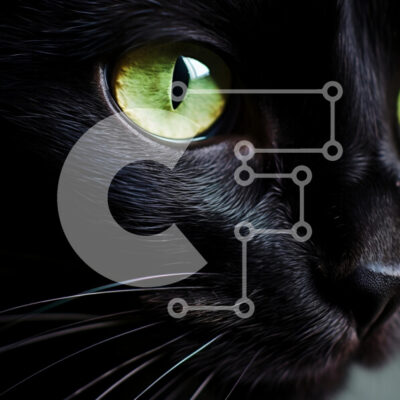 Intra Συλλεκτικό Ξύλινο Παζλ Plywood  4mm - Κοντινό πλάνο μιας μαύρης γάτας με εντυπωσιακά πράσινα μάτια Σε Ξύλινο Κουτί - Διαστάσεις: 10x10 cm – 25 κομμάτια - Image 1