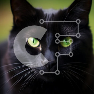 Intra Συλλεκτικό Ξύλινο Παζλ Plywood  4mm - Κοντινό πλάνο μιας μαύρης γάτας με πράσινα μάτια Σε Ξύλινο Κουτί - Διαστάσεις: 10x10 cm – 25 κομμάτια - Image 1