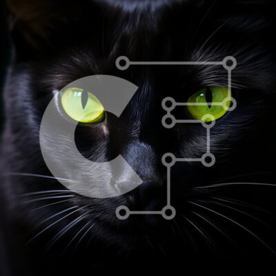 Intra Συλλεκτικό Ξύλινο Παζλ Plywood  4mm - Κοντινό πλάνο μιας μαύρης γάτας με πράσινα μάτια Σε Ξύλινο Κουτί - Διαστάσεις: 10x10 cm – 25 κομμάτια - Image 1