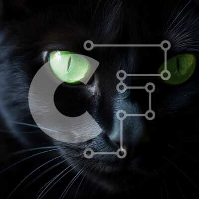 Intra Συλλεκτικό Ξύλινο Παζλ Plywood  4mm - Κοντινό πλάνο μιας μαύρης γάτας με πράσινα μάτια Σε Ξύλινο Κουτί - Διαστάσεις: 10x10 cm – 25 κομμάτια - Image 1