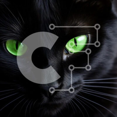 Intra Συλλεκτικό Ξύλινο Παζλ Plywood  4mm - Κοντινό πλάνο μιας μαύρης γάτας με πράσινα μάτια Σε Ξύλινο Κουτί - Διαστάσεις: 10x10 cm – 25 κομμάτια - Image 1