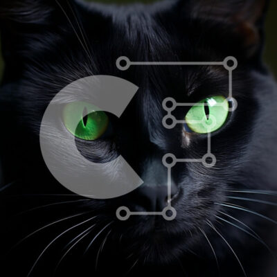 Intra Συλλεκτικό Ξύλινο Παζλ Plywood  4mm - Κοντινό πλάνο μιας μαύρης γάτας με πράσινα μάτια Σε Ξύλινο Κουτί - Διαστάσεις: 10x10 cm – 25 κομμάτια - Image 1