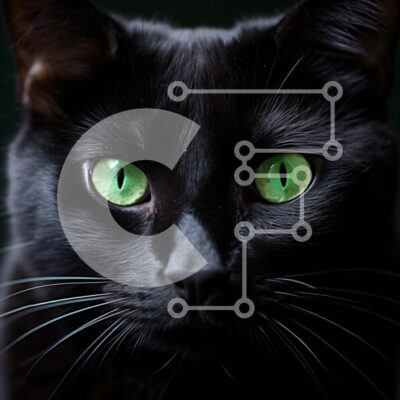 Intra Συλλεκτικό Ξύλινο Παζλ Plywood  4mm - Κοντινό πλάνο μιας μαύρης γάτας με πράσινα μάτια Σε Ξύλινο Κουτί - Διαστάσεις: 10x10 cm – 25 κομμάτια - Image 1