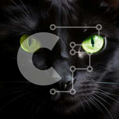 Intra Συλλεκτικό Ξύλινο Παζλ Plywood  4mm - Κοντινό πλάνο μιας μαύρης γάτας με πράσινα μάτια Σε Ξύλινο Κουτί - Διαστάσεις: 10x10 cm – 25 κομμάτια - Image 1