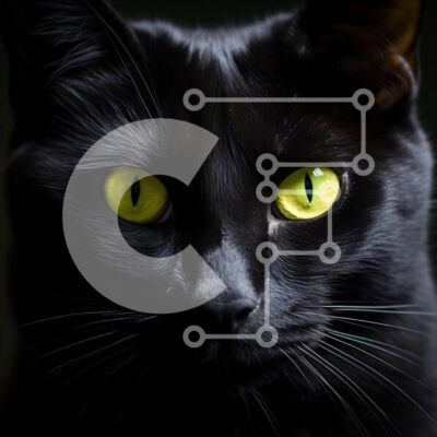 Intra Συλλεκτικό Ξύλινο Παζλ Plywood  4mm - Κοντινό πλάνο μιας μαύρης γάτας με τα κίτρινα μάτια Σε Ξύλινο Κουτί - Διαστάσεις: 10x10 cm – 25 κομμάτια - Image 1