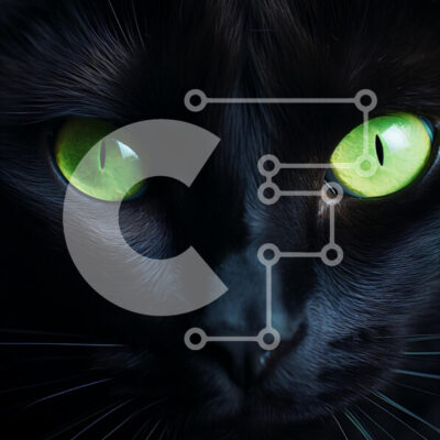 Intra Συλλεκτικό Ξύλινο Παζλ Plywood  4mm - Κοντινό πλάνο μιας μαύρης γάτας με πράσινα μάτια Σε Ξύλινο Κουτί - Διαστάσεις: 10x10 cm – 25 κομμάτια - Image 1