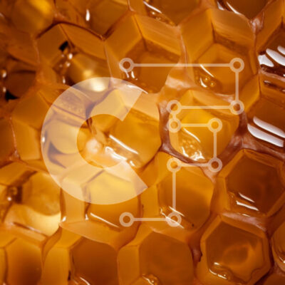 Intra Συλλεκτικό Ξύλινο Παζλ Plywood  4mm - Κινηματογράφηση σε πρώτο πλάνο της κηρήθρας με το μέλι Σε Ξύλινο Κουτί - Διαστάσεις: 10x10 cm – 25 κομμάτια - Image 1