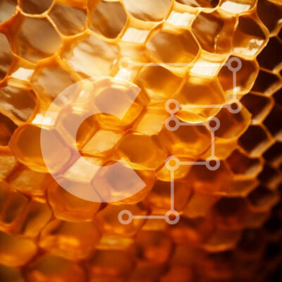 Intra Συλλεκτικό Ξύλινο Παζλ Plywood  4mm - Κινηματογράφηση σε πρώτο πλάνο της κηρήθρας με το χρυσό μέλι Σε Ξύλινο Κουτί - Διαστάσεις: 10x10 cm – 25 κομμάτια - Image 1