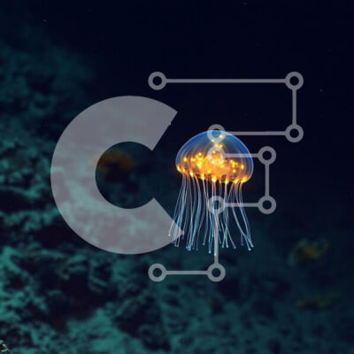 Intra Συλλεκτικό Ξύλινο Παζλ Plywood  4mm - Λαμπερή μέδουσα στα βαθιά νερά του ωκεανού Σε Ξύλινο Κουτί - Διαστάσεις: 10x10 cm – 25 κομμάτια - Image 1