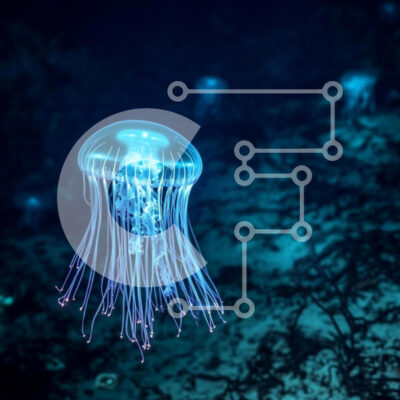 Intra Συλλεκτικό Ξύλινο Παζλ Plywood 4mm - Λαμπερή μέδουσα στον βαθύ ωκεανό Σε Ξύλινο Κουτί - Διαστάσεις: 10x10 cm – 25 κομμάτια - Image 1