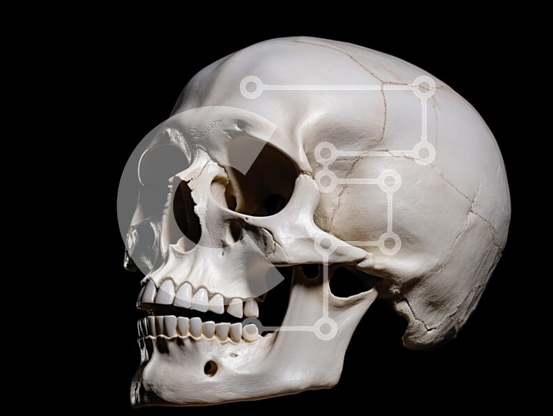 Intra Συλλεκτικό Ξύλινο Παζλ Plywood  4mm - Προφίλ ανθρώπινου κρανίου σε μαύρο φόντο Σε Ξύλινο Κουτί - Διαστάσεις Puzzle: 10x10 cm – 25 κομμάτια