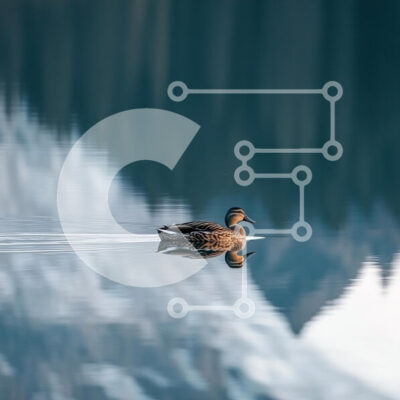 Intra Συλλεκτικό Ξύλινο Παζλ Plywood 4mm - Πάπια που κολυμπά σε μια ήρεμη λίμνη Σε Ξύλινο Κουτί - Διαστάσεις: 10x10 cm – 25 κομμάτια - Image 1